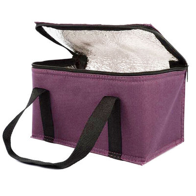 OEM 사용자 지정 인쇄 부드러운 단열 냉각 가방 21 * 13 * 14 Cm 4L 16L 32L 용량