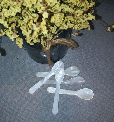 자연적인 자개 캐비아 숟가락